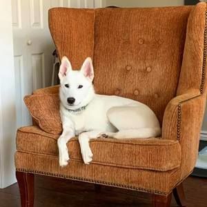 Meet your Posher, Elizabeth